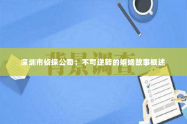 深圳市侦探公司：不可逆转的婚姻故事概述