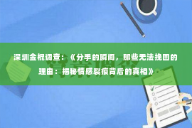 深圳金棍调查：《分手的瞬间，那些无法挽回的理由：揭秘情感裂痕背后的真相》