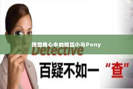 挽回我心中的那匹小马Pony